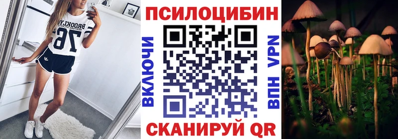Галлюциногенные грибы Psilocybe  наркота  Дзержинск 